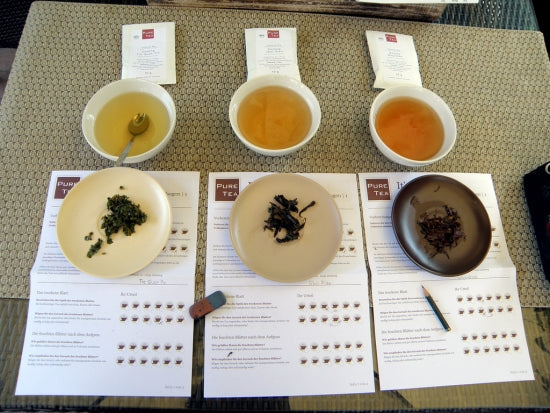 Tea Taster - so sieht´s richtig gut aus
