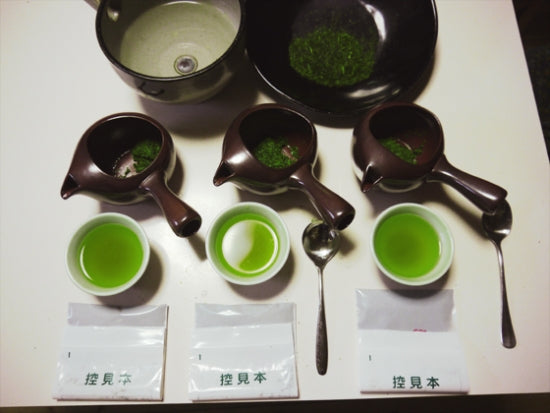 Shincha 2013 - fertig!