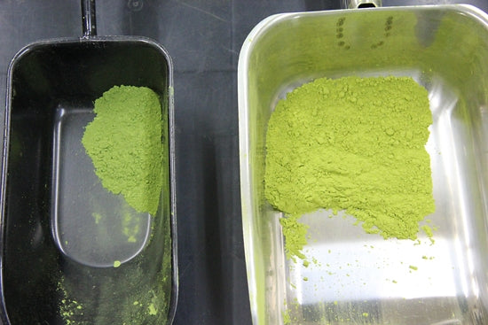 Matcha Tee