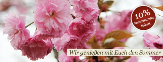 Sommer Aktion - Japan Tee