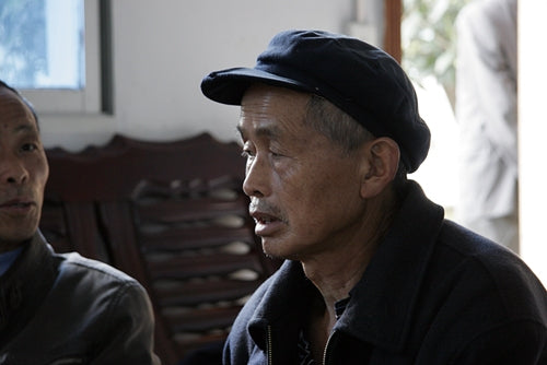 China Reise 2010 - die Probleme auf den Teeplantagen