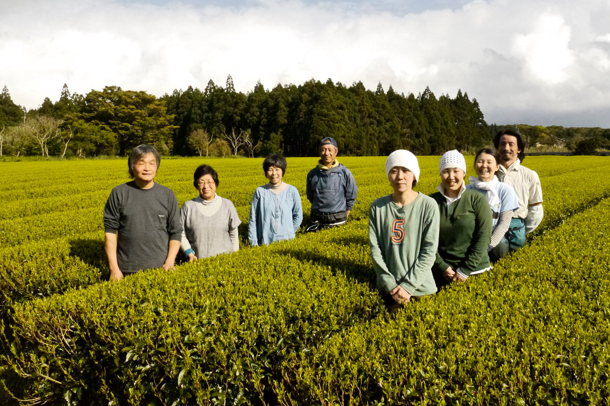 Familie Watanabe im Bio-Teegarten auf Yakushima