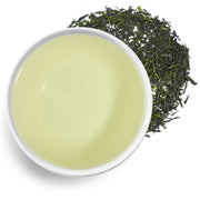 Morimoto Shincha 2025